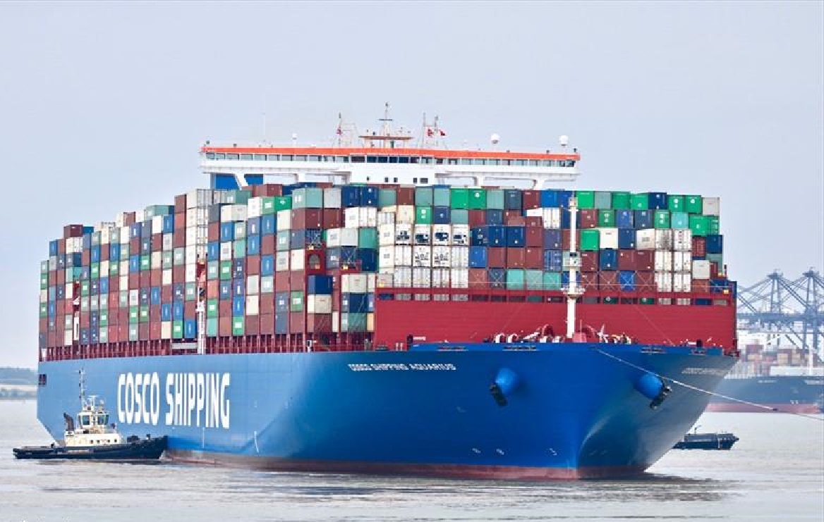 Container hạt điều Việt Nam được trả lại từ Italy: Chính phủ cam kết bảo vệ quyền lợi doanh nghiệp